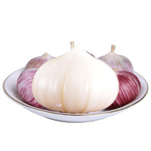 Chinese net pocket single bulb garlic